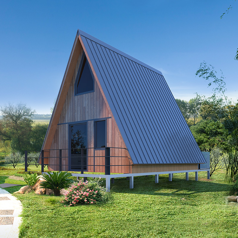 Triangular House